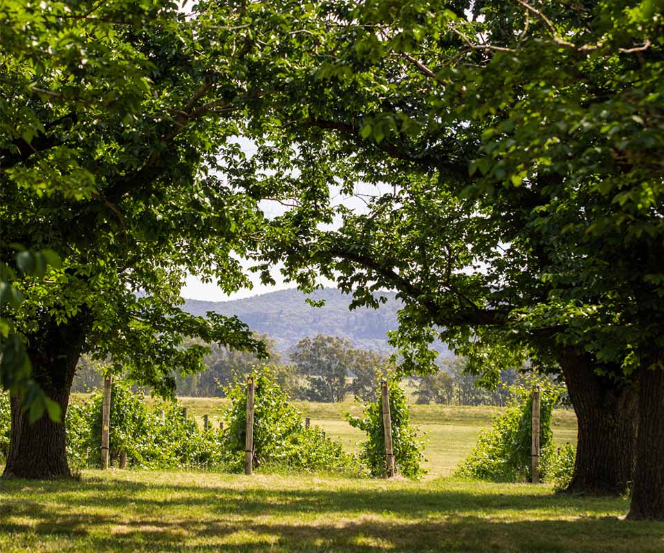 Our Sustainability Commitments