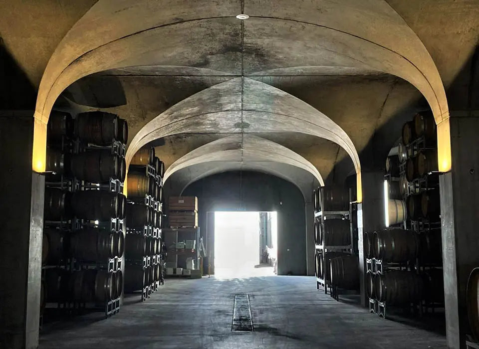 Vintage Diary: Winery Action