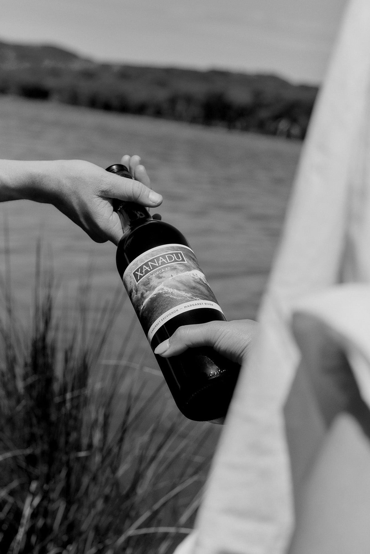 Black and white photo of a hand holding a bottle of Xanadu wine outdoors near coastal grasses