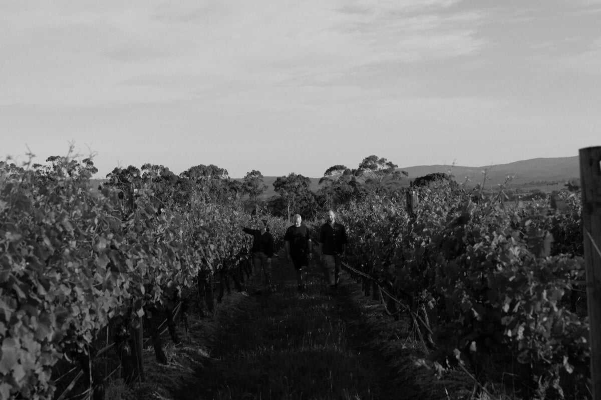 Black and white photo of three people walking through vineyard rows at dusk