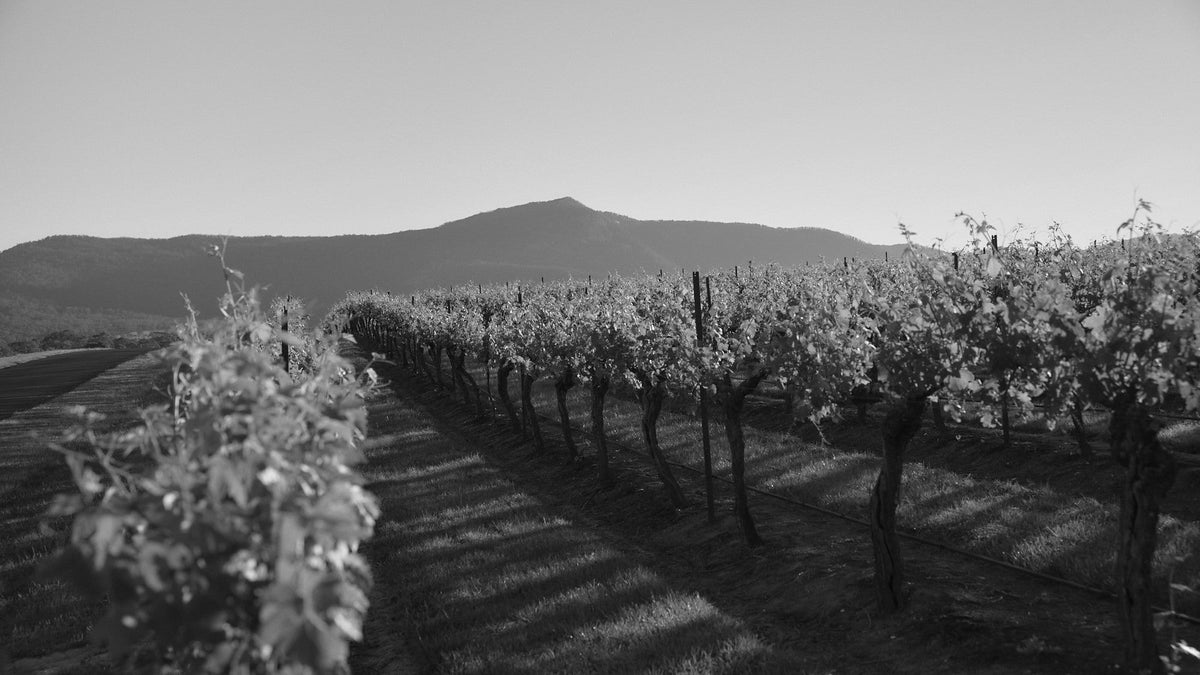 Mount Langi Ghiran overlooking vineyards at sunrise