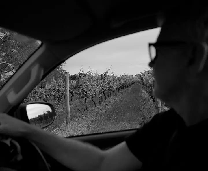 Black and white photo of a man driving past vineyard rows, viewed through the car window