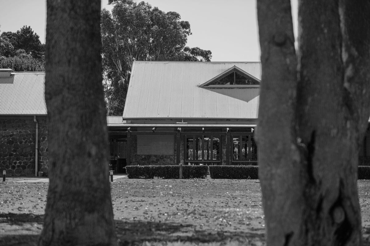 Black and white photo of the Xanadu cellar door building viewed through tree trunks
